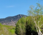 20200524_091605.jpg