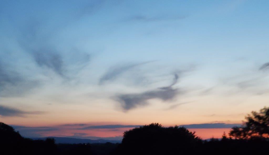 20200715_074157.jpg