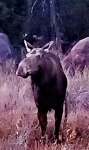 20201012_145628.jpg