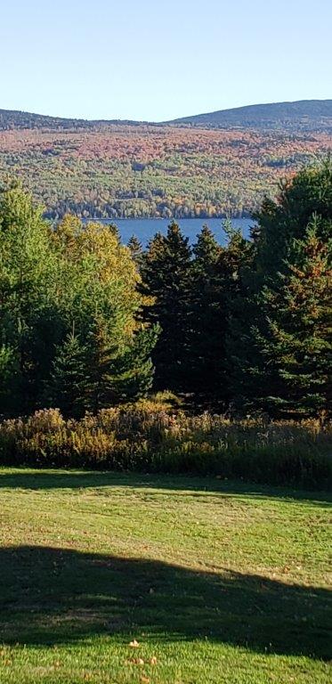 20191005_162627.jpg