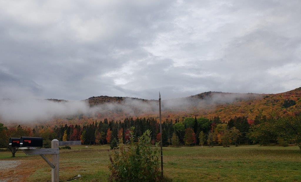 20191007_111717.jpg