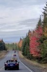 20191007_112016.jpg