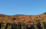 20191007_113814.jpg