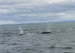 20190812_180340.jpg