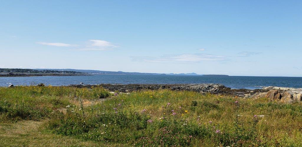 20190812_104019.jpg