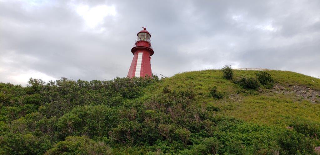 20190813_180054.jpg