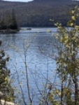 946840_qtz6j6UVaC_thumb.jpg