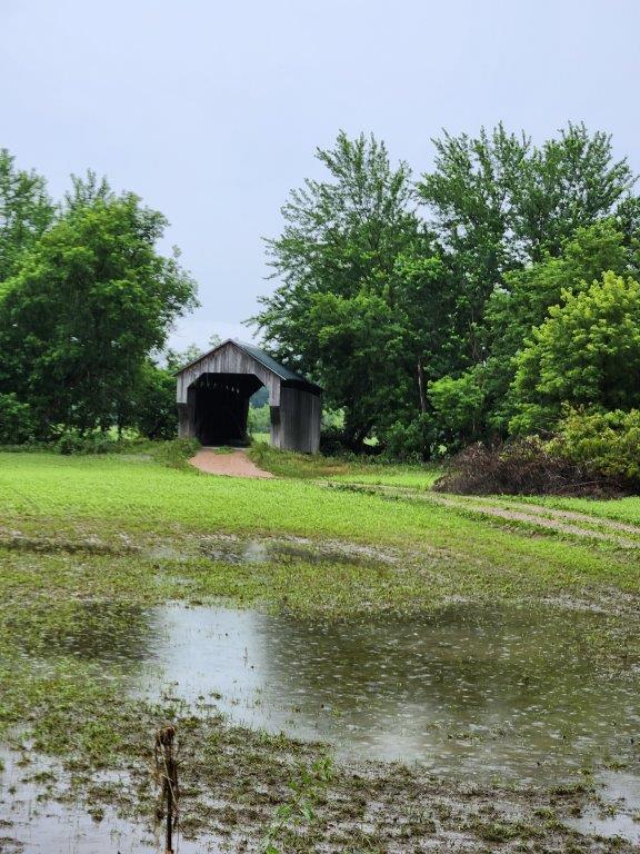 20230716_094132.jpg