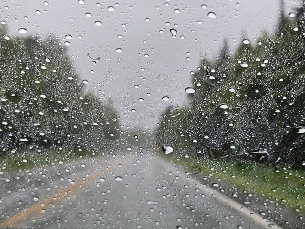 20230716_105148.jpg