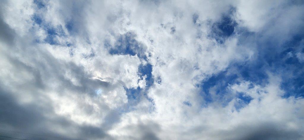 20231020_145754.jpg