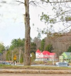 20240419_095113.jpg