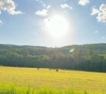 IMG_7961.jpg