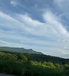 IMG_7932.jpg