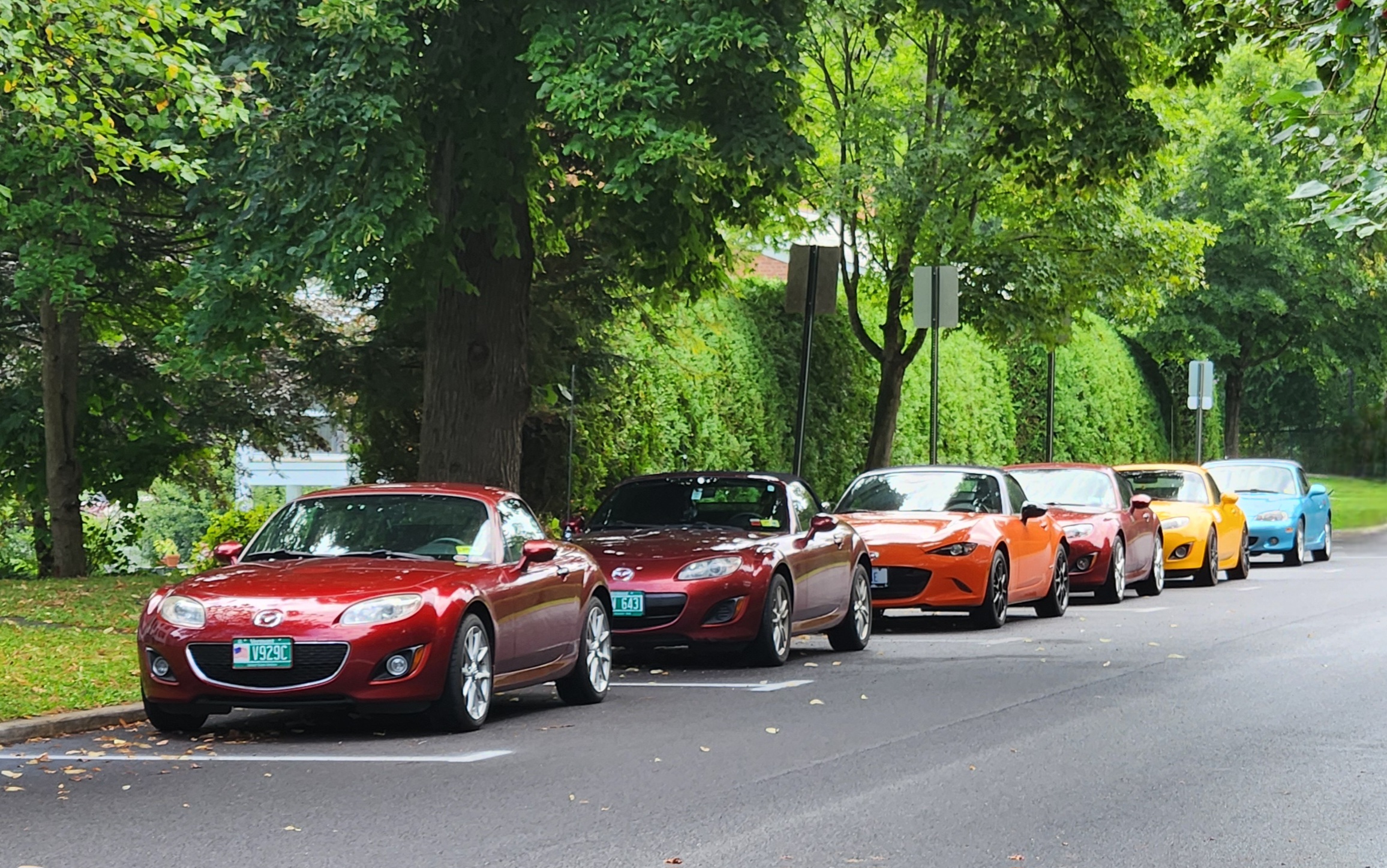 20240817_093528.jpg