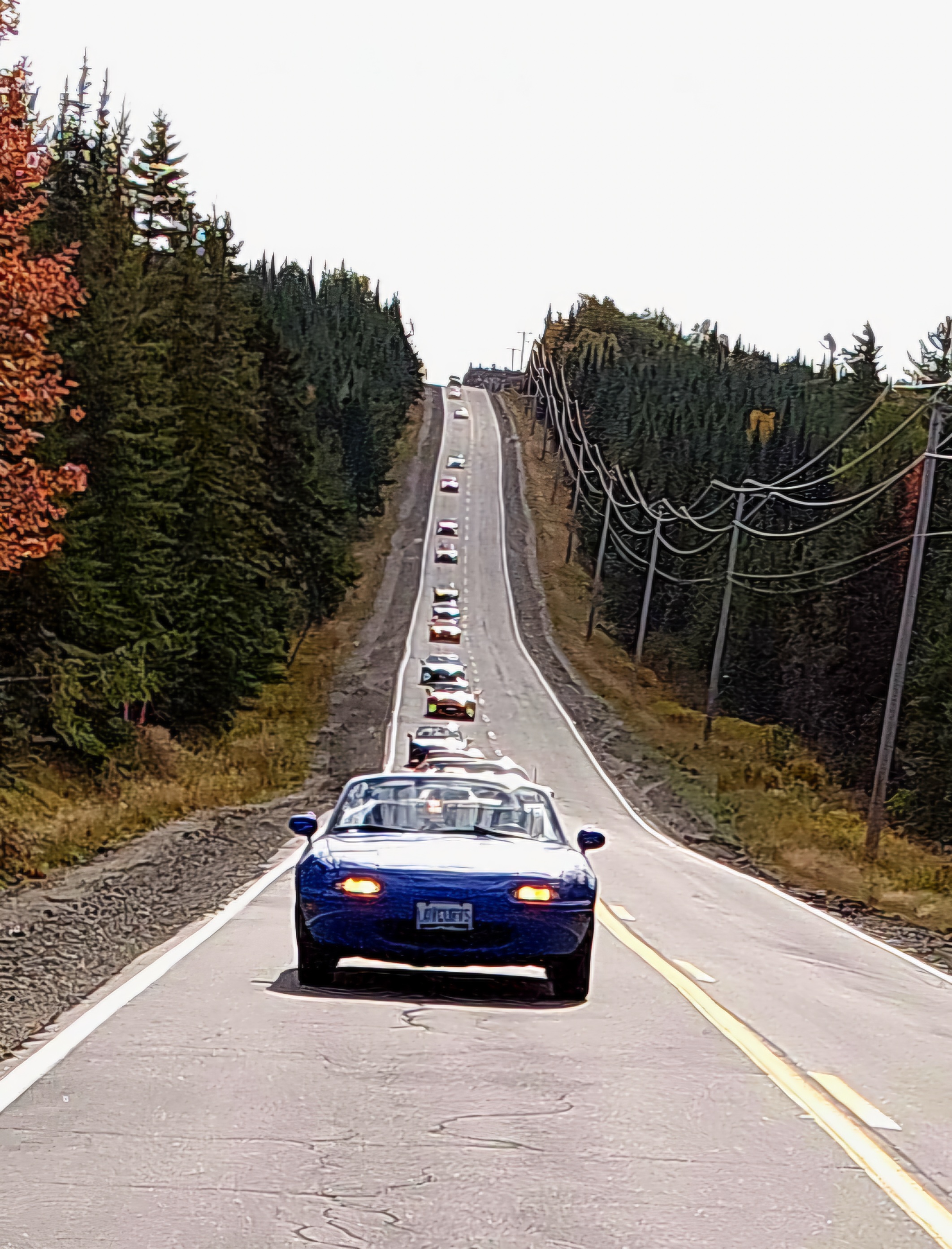 20241004_145500(0).jpg