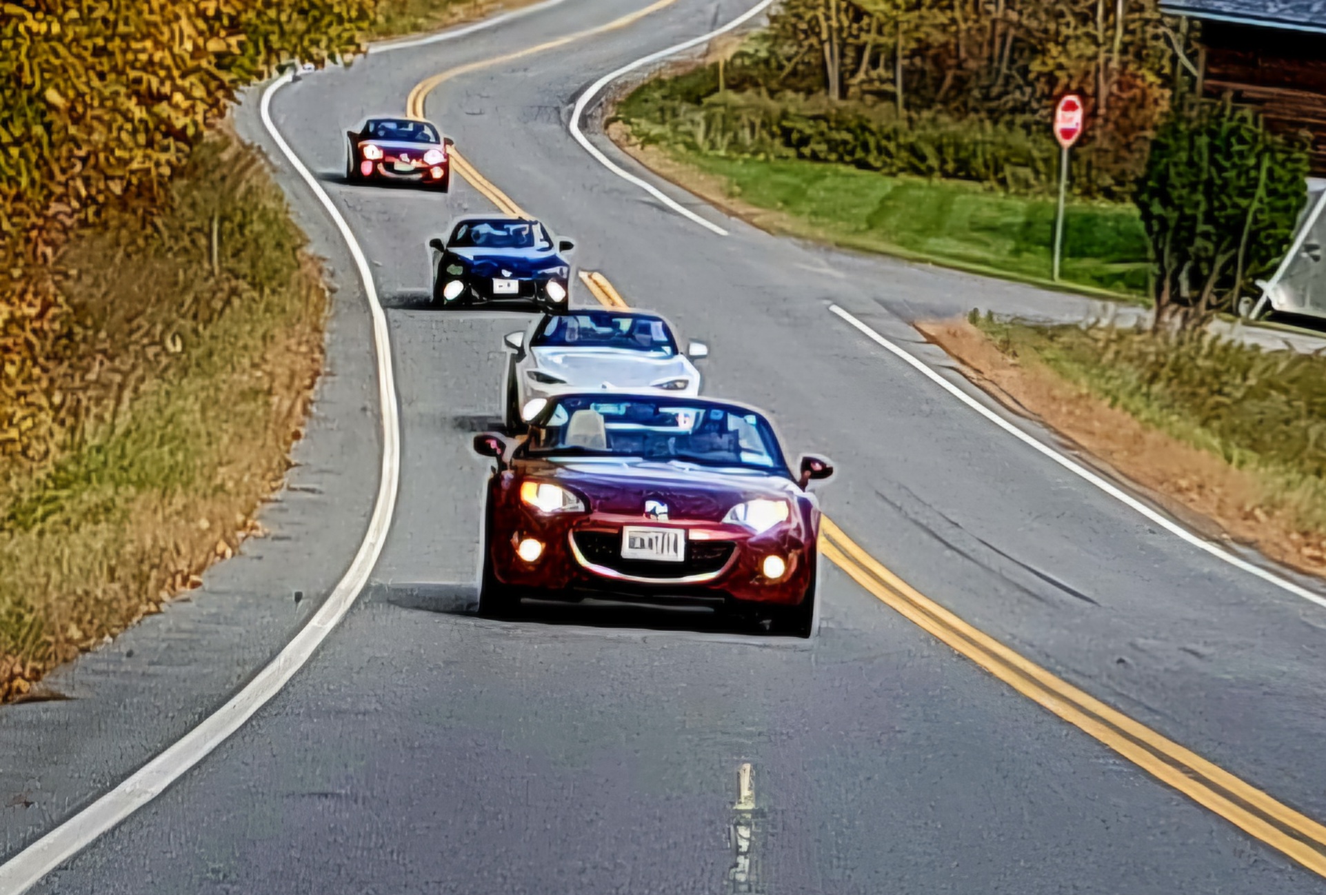 20241012_145631.jpg