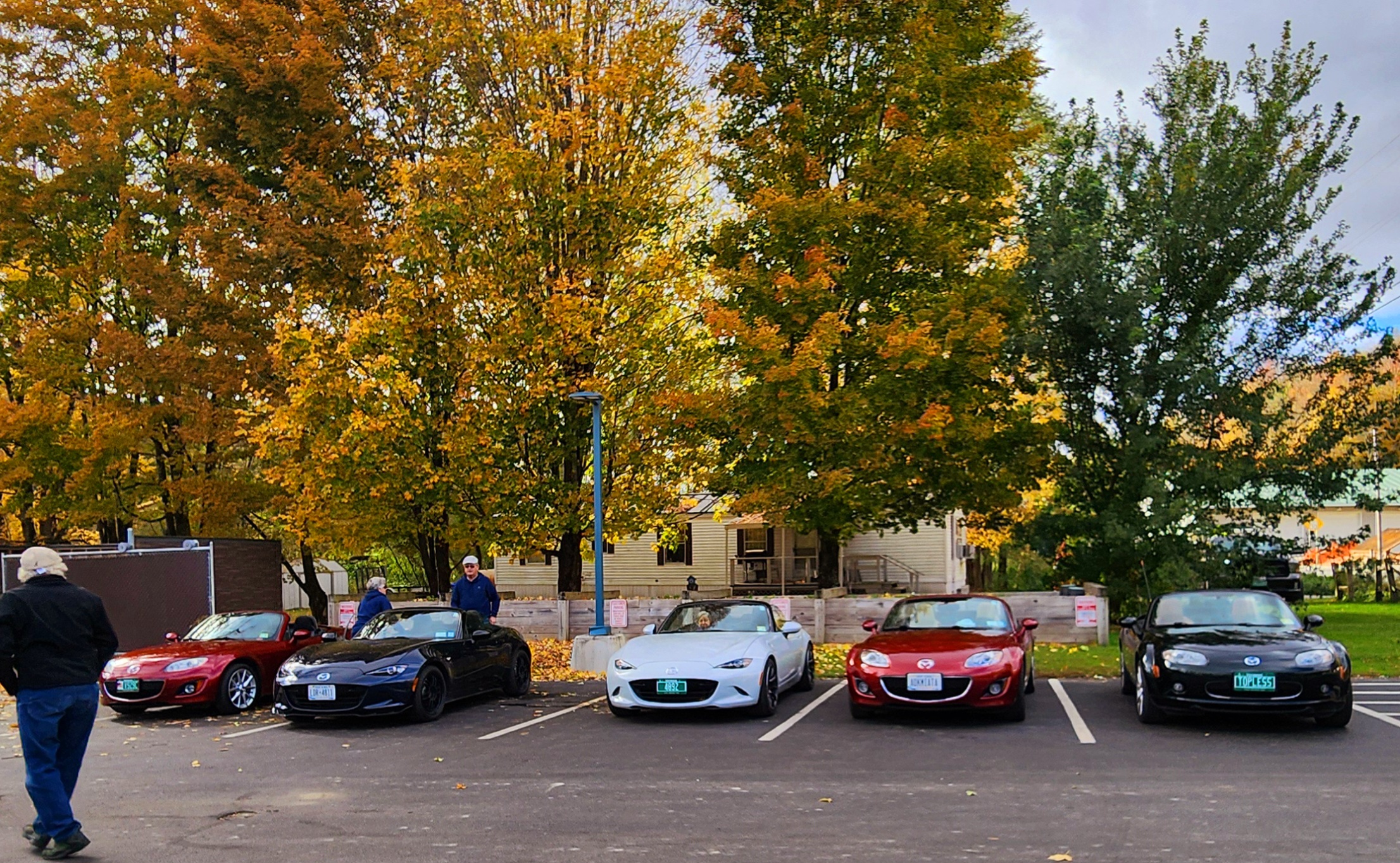 20241012_151313.jpg