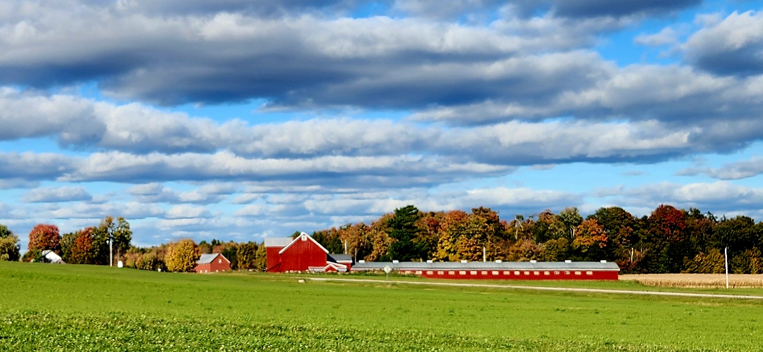 20241012_155915.jpg