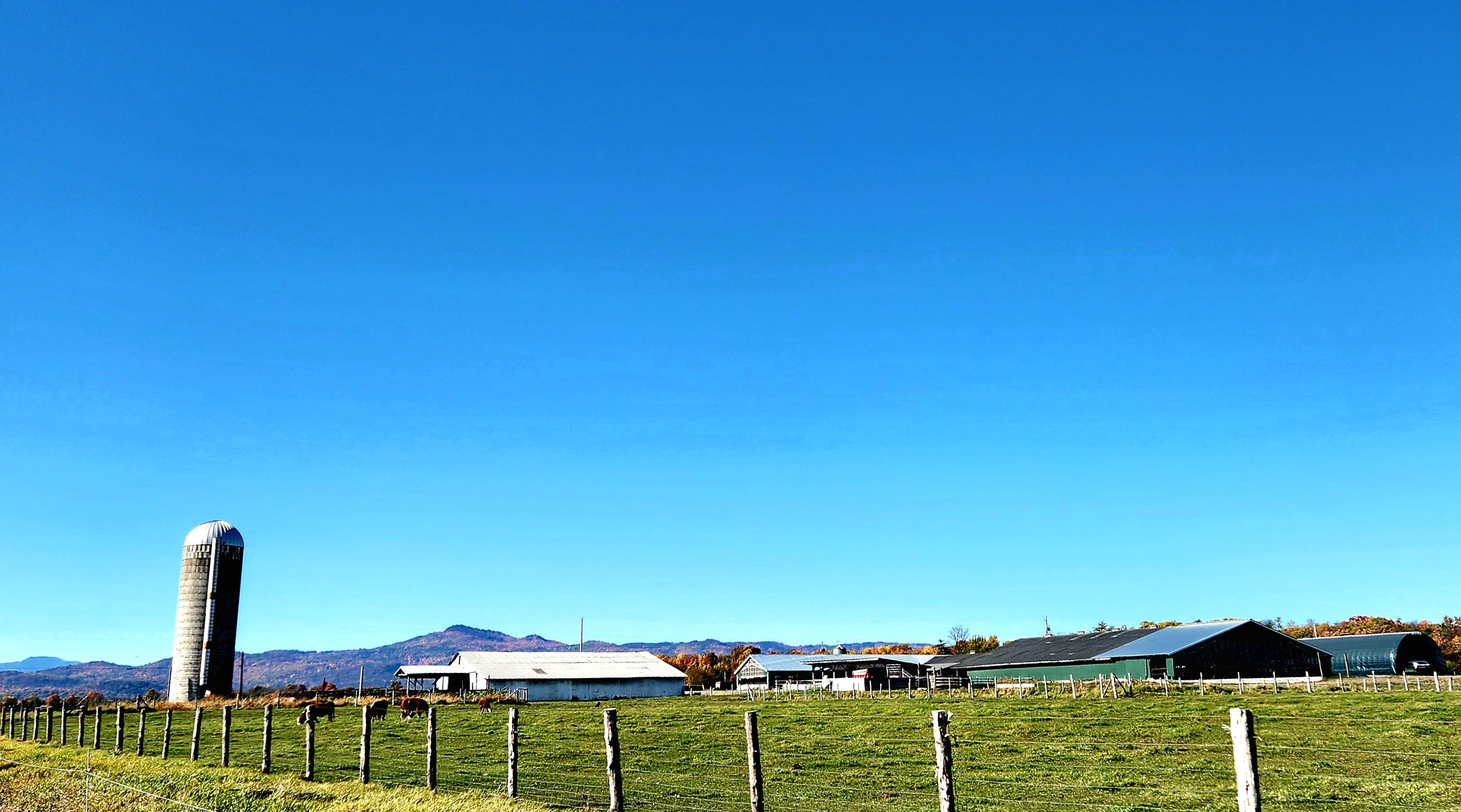 20241020_131431.jpg