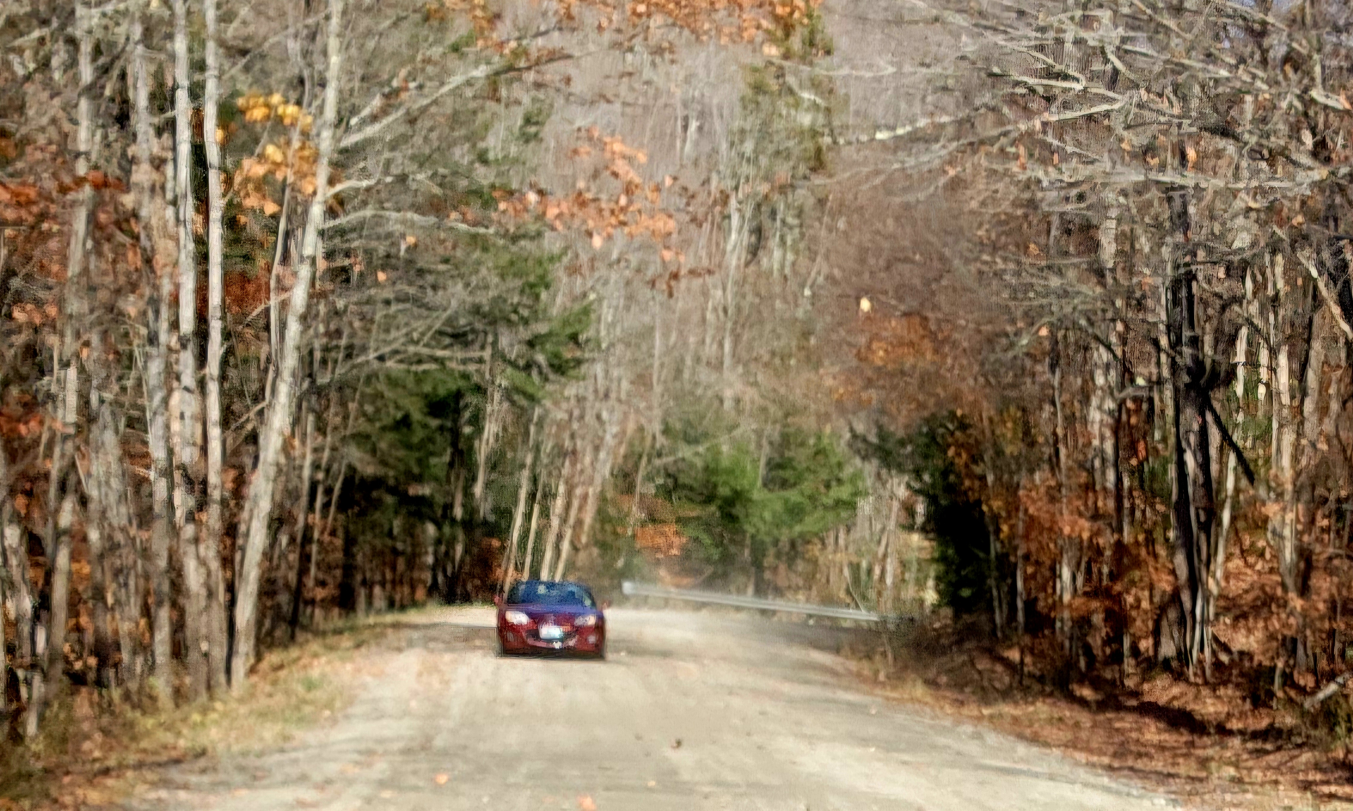20241023_121553.jpg