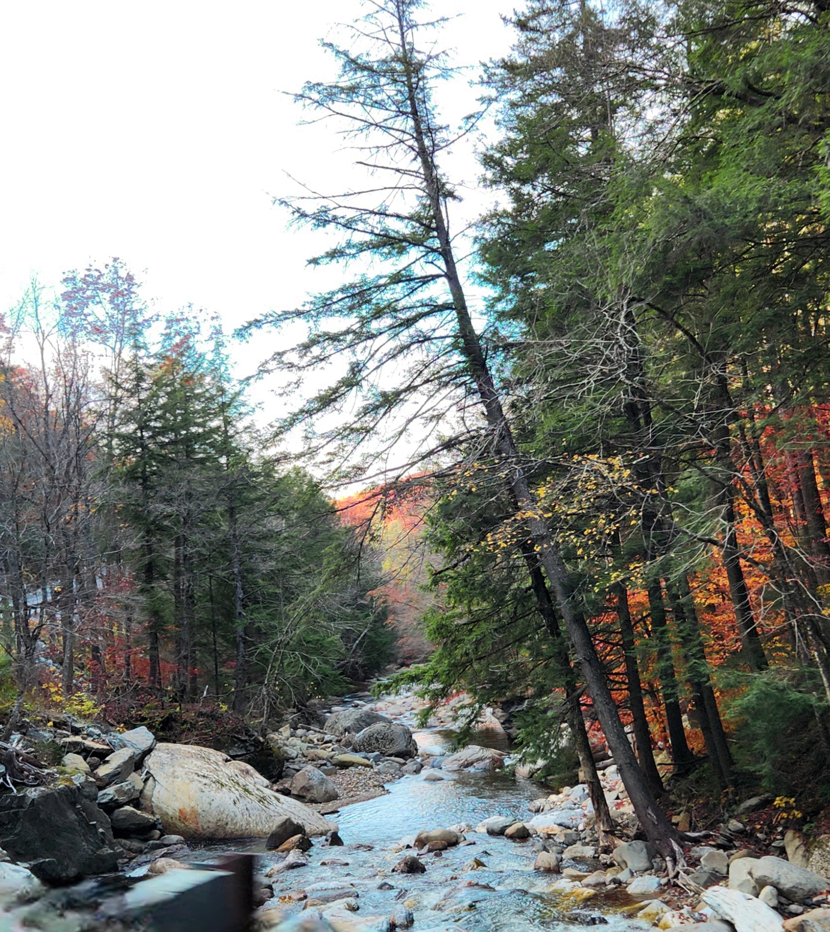 20241023_145914.jpg