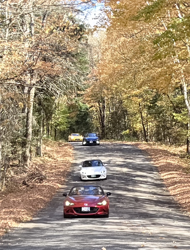 20251005_134918.jpg