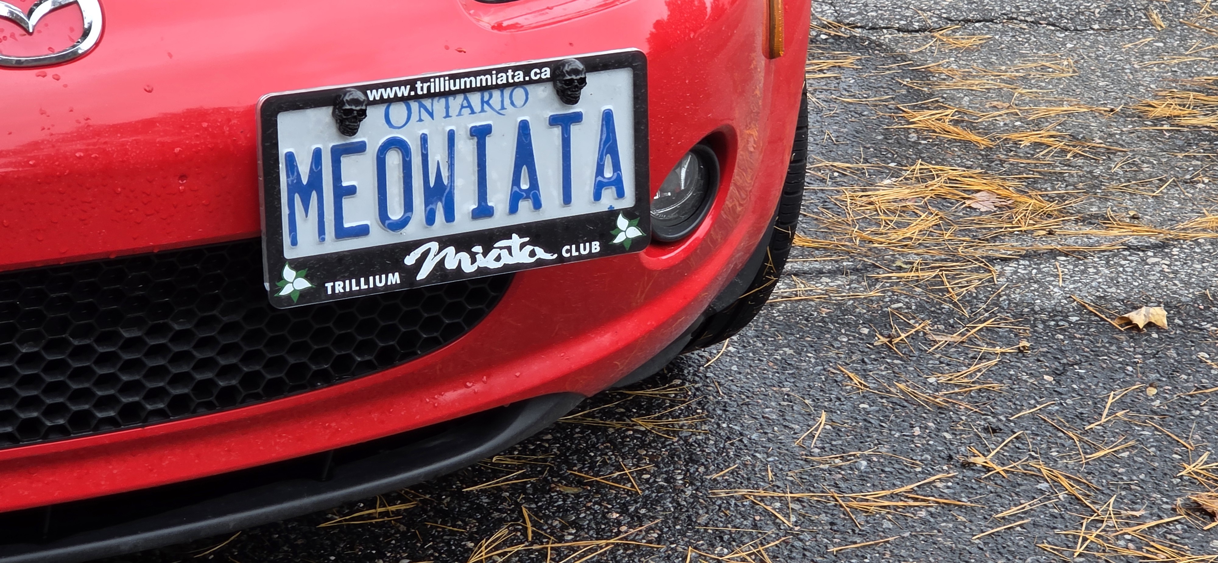 20251007_144900.jpg
