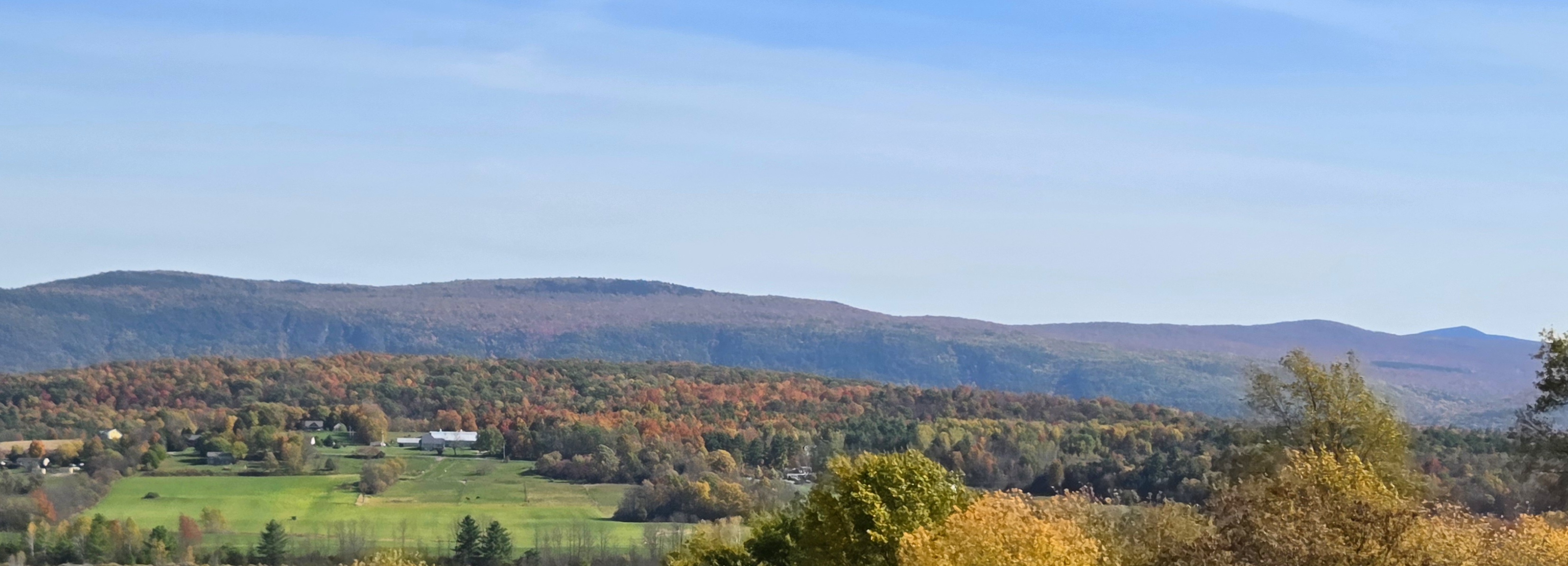 20251019_123647.jpg