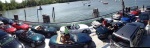 600_438335821.jpeg