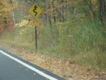 600_11152455.jpeg